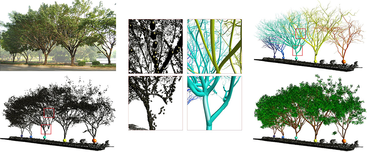 Automatic Reconstruction of Tree Skeletal Structures from Point Clouds