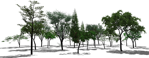 Texture Lobe for Tree Modeling